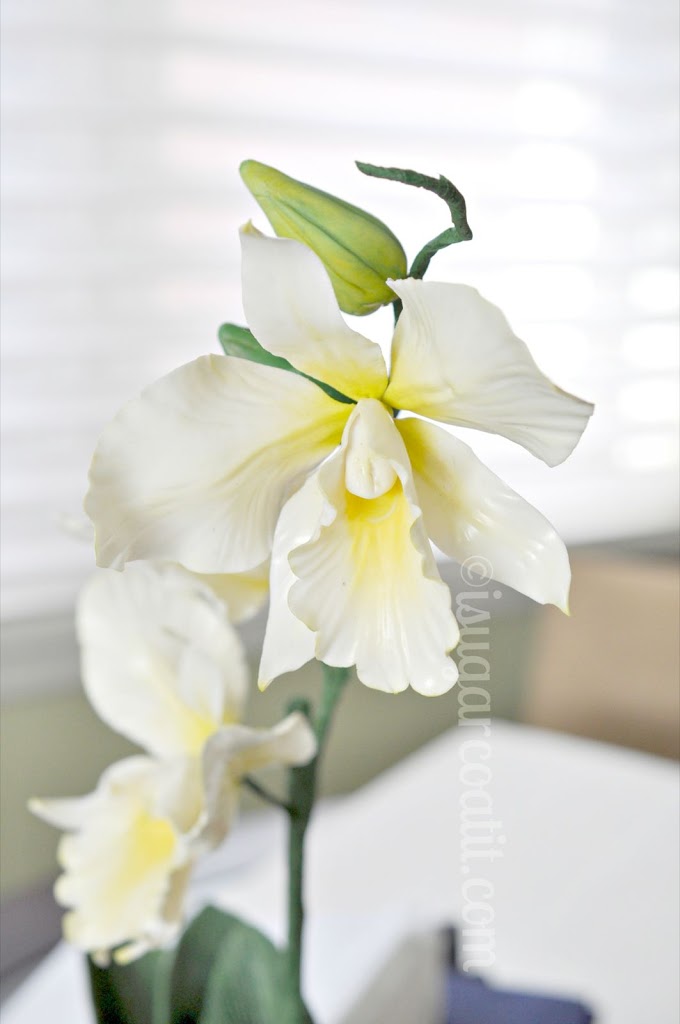 Sugar Orchids and Flower Pot Cake