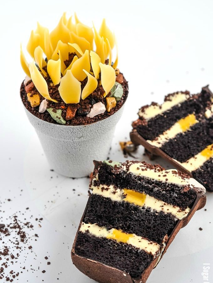 Passion Fruit Chocolate Flower Cake with layers of coconut cream and tangy curd wrapped in chocolate and topped with passion fruit chocolate flower.