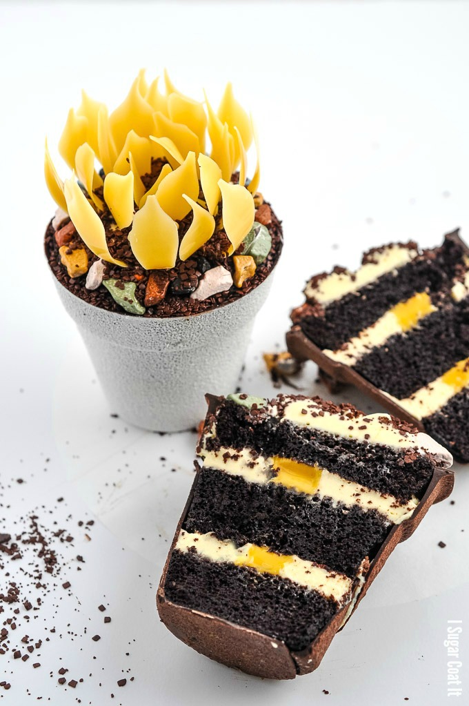 Passion Fruit Chocolate Flower Cake with layers of coconut cream and tangy curd wrapped in chocolate and topped with passion fruit chocolate flower.